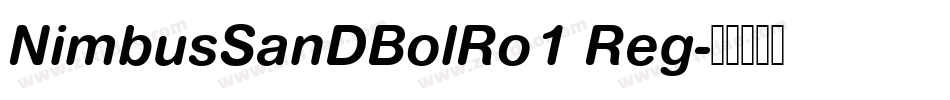 NimbusSanDBolRo1 Reg字体转换